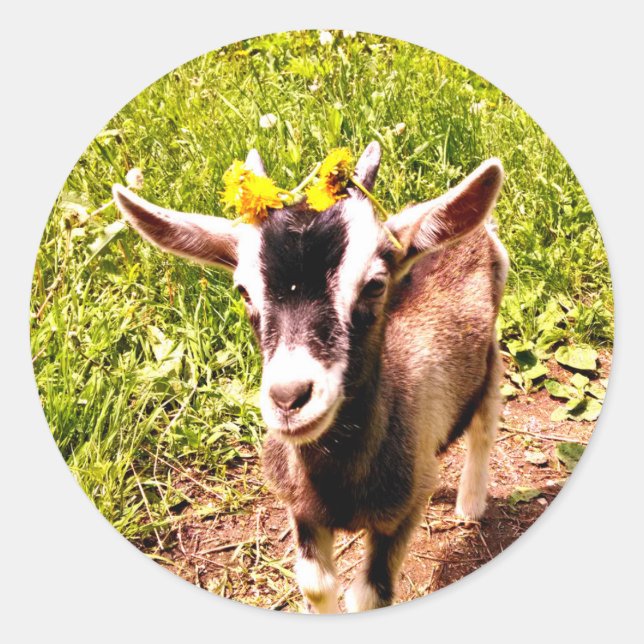 Baby Goat with Flowers - Sheet of Stickers (Front)