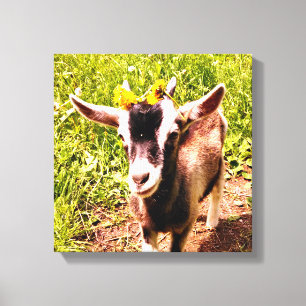 Baby Goat with Flowers - Wrapped Canvas Print
