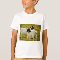 Baby Goats Farm Animals in Pasture