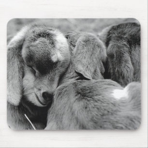 Baby Goats Mouse Mat