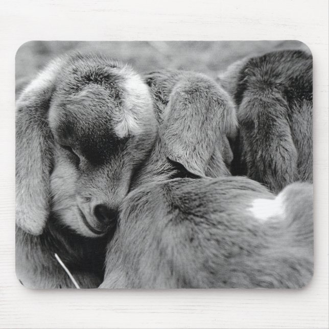 Baby Goats Mouse Mat (Front)