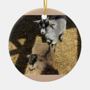 Baby Goats Ornament