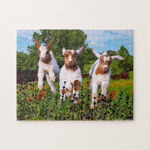 "Baby Goats" Puzzle
