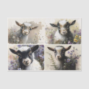 Baby Goats  Tissue Paper