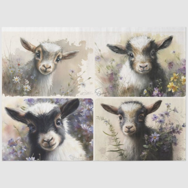Baby Goats  Tissue Paper (Front)