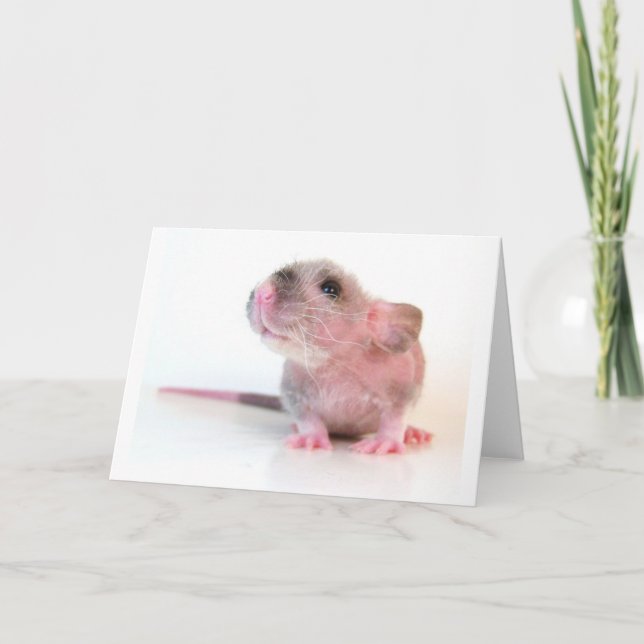 Baby Gobi Rat Card (Front)