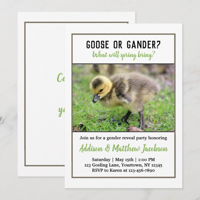 Baby Goose Gender Reveal Invitation (Front/Back)