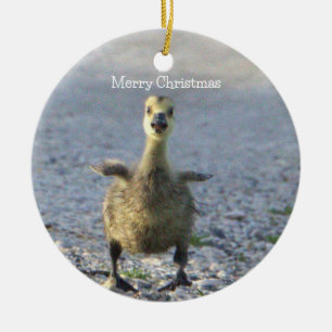 Baby Goose Ornament 