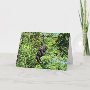 Baby Gorilla (2035)  - Birthday Card