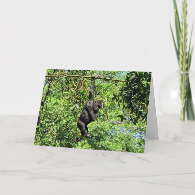 Baby Gorilla (2035)  - Greeting Card (Front)
