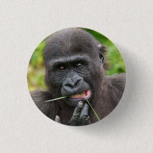 Baby Gorilla Cuteness 3 Cm Round Badge