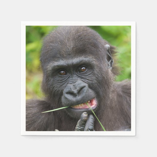 Baby Gorilla Cuteness Napkin (Front)