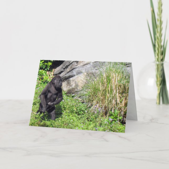 Baby Gorilla Greeting Card (Front)