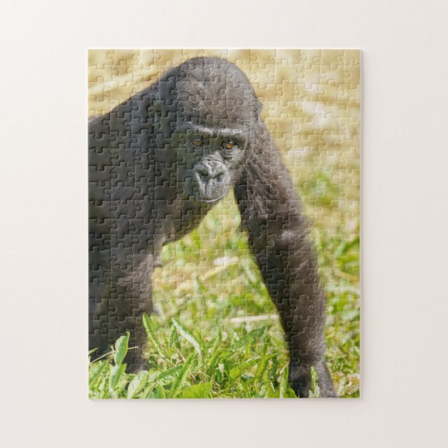 Baby Gorilla Jigsaw Puzzle (Vertical)