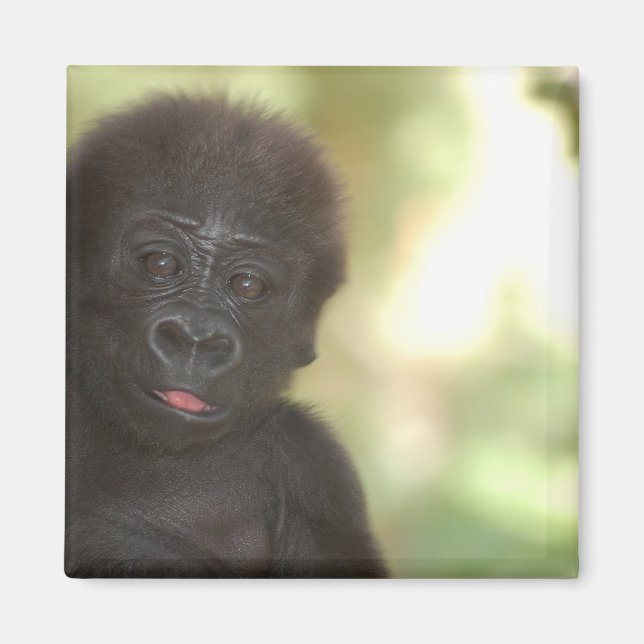 Baby Gorilla Magnet (Front)