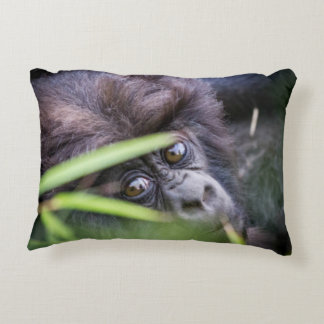 Baby gorilla of Rwanda Africa Decorative Cushion