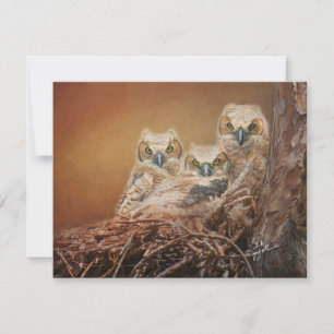 Baby Great Horned Owls Wildlife Photography Card
