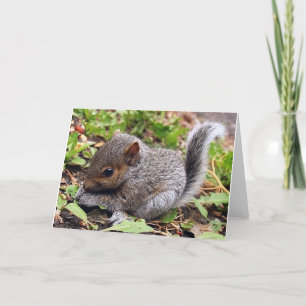 Baby Grey Card