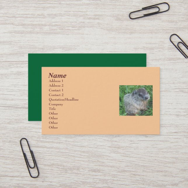 Baby Groundhog/Woodchuck Business Card (Front/Back In Situ)