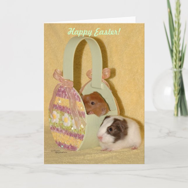 Baby guinea pigs Happy Easter Card (Front)