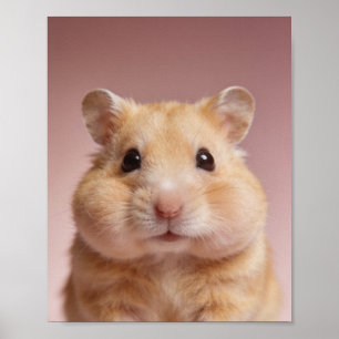 Baby Hamster Portrait – Cute Nursery Animal Wall A Poster