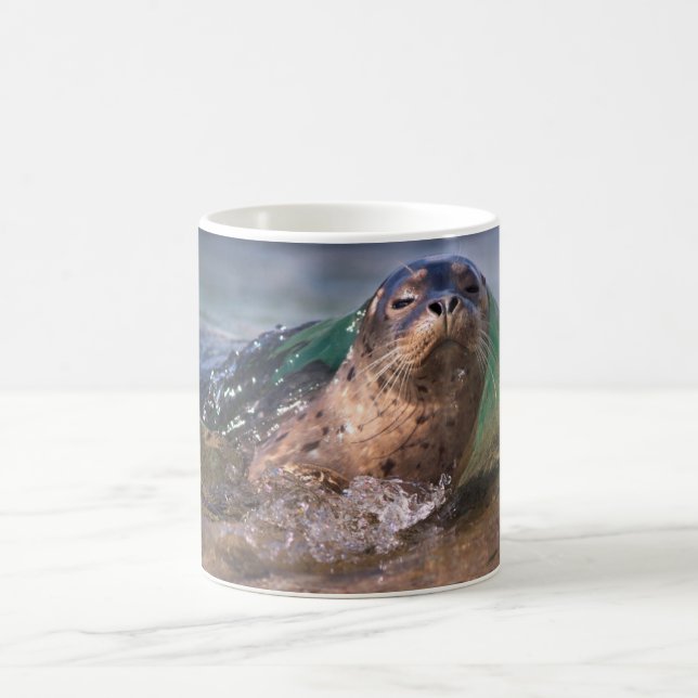 Baby Harbour Seal Coffee Mug (Center)