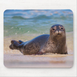 Baby Harbour Seal in Water Mouse Mat