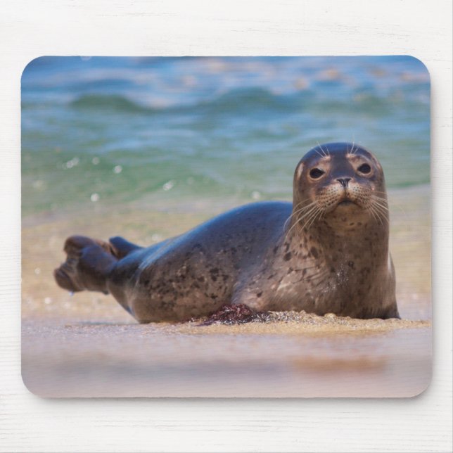 Baby Harbour Seal in Water Mouse Mat (Front)
