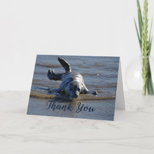 Baby Harbour Seal Photo Thank You Card