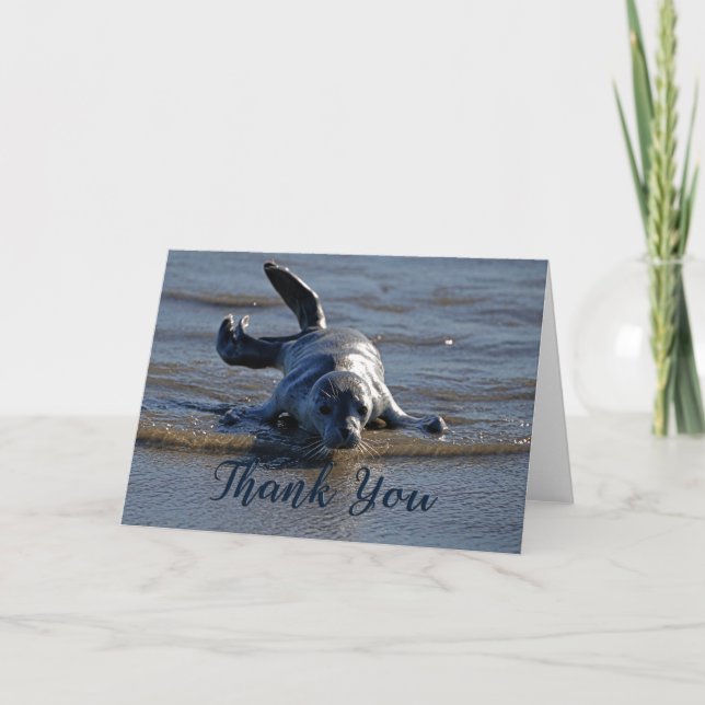 Baby Harbour Seal Photo Thank You Card (Front)