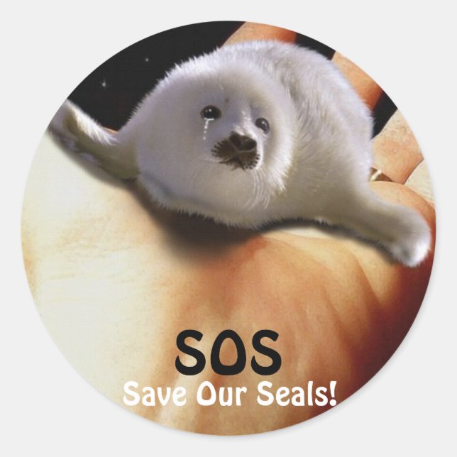 BABY HARP SEAL Anti Seal-Hunt Sticker (Front)
