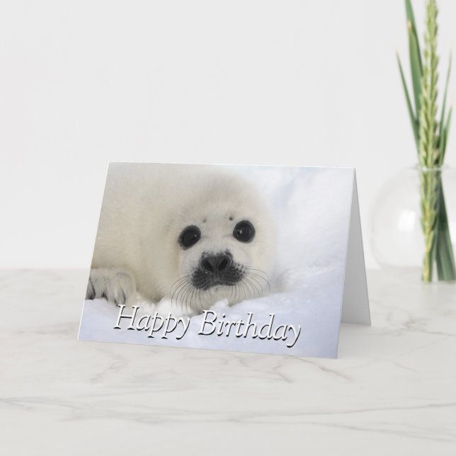 Baby Harp Seal Card (Front)