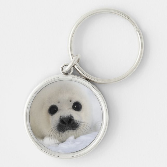 Baby Harp Seal Key Ring (Front)