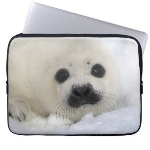 Baby Harp Seal Laptop Sleeve