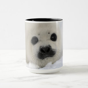 Baby Harp Seal Mug
