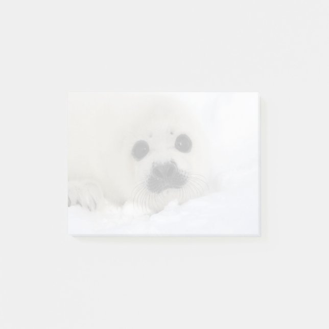 Baby Harp Seal Post-it Notes (Front)