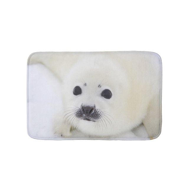 Baby harp seal pup on ice of the White Sea Bath Mat (Front)