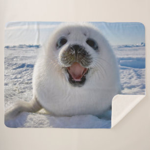 Baby Harp Seal Sherpa Blanket