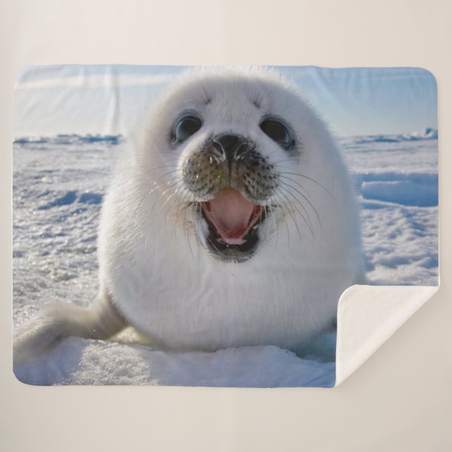 Baby Harp Seal Sherpa Blanket (Front (Horizontal))