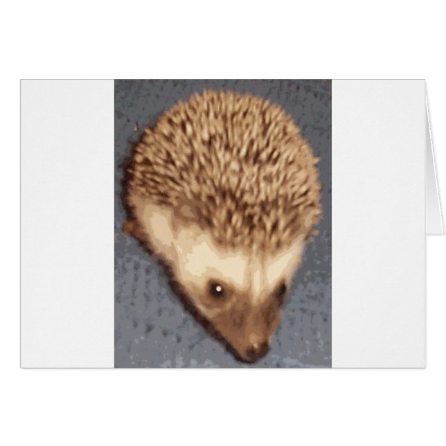 baby hedgehog (Front Horizontal)