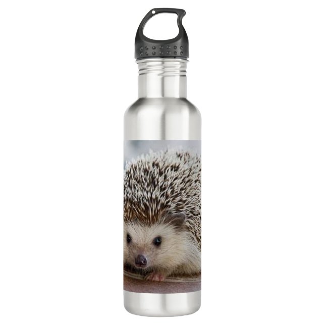 Baby hedgehog   710 ml water bottle (Front)