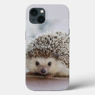 Baby hedgehog iPhone 13 case