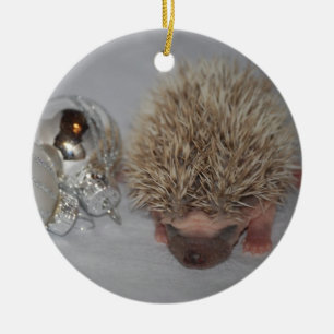 Baby Hedgehog Christmas Ornament