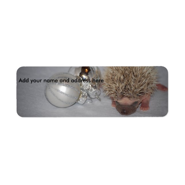 Baby Hedgehog Christmas Ornament Address Labels (Front)