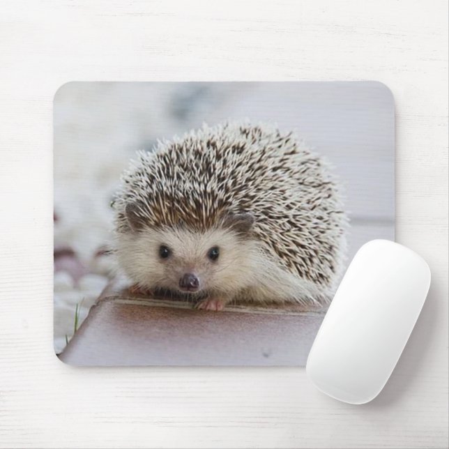 Baby hedgehog  mouse mat (With Mouse)