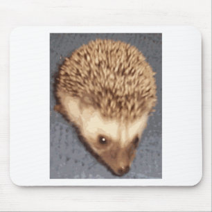 baby hedgehog mouse mat