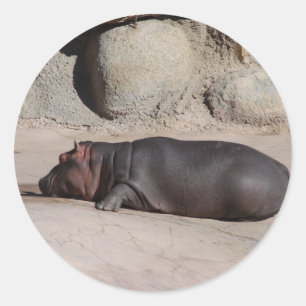 Baby Hippo Classic Round Sticker