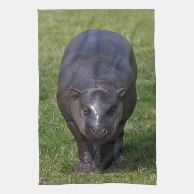 Baby Hippo Kitchen Towel (Vertical)