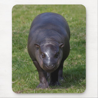 Baby Hippo Mousemat