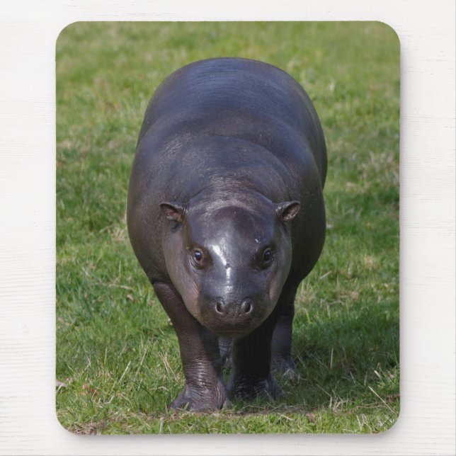 Baby Hippo Mousemat (Front)